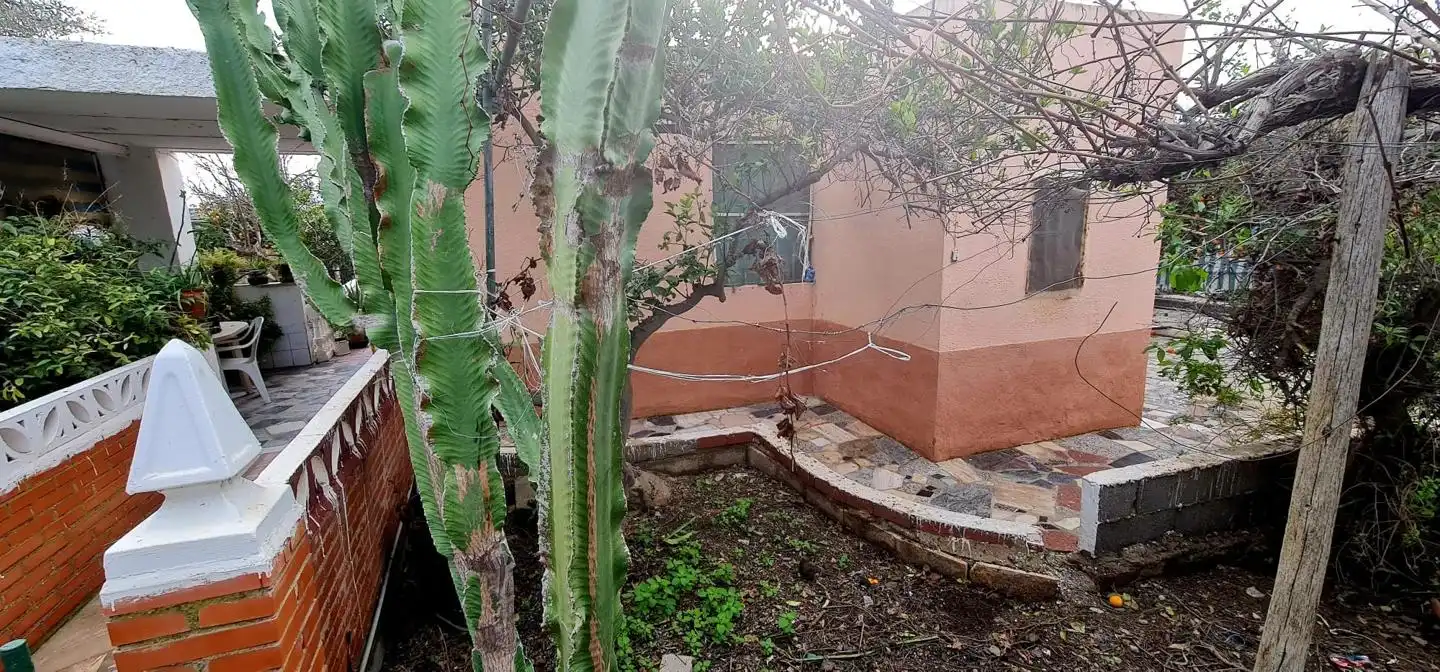 Jardín de Casa o chalet en venta en Benahadux