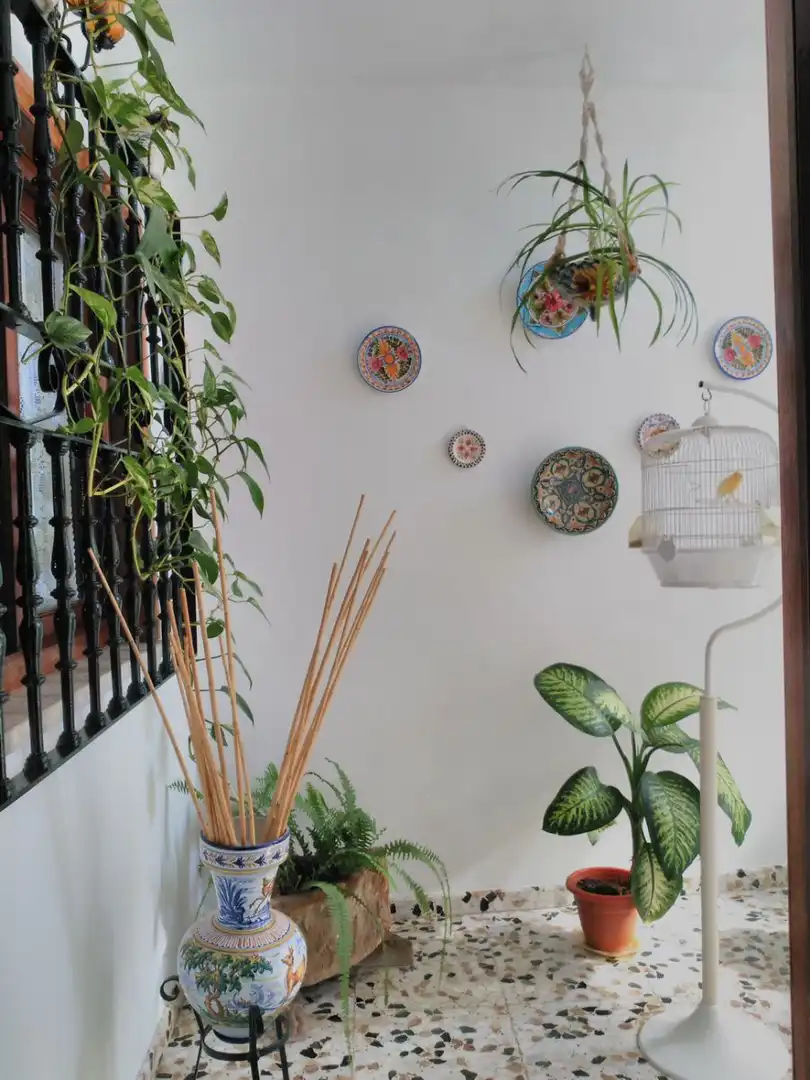 House with terrace for sale in Conil, imagen 21