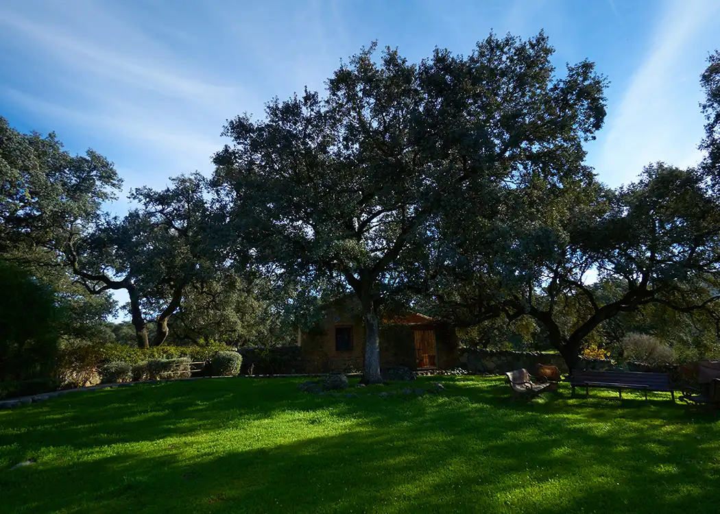 Finca rústica en venda a El Castillo de las Guardas