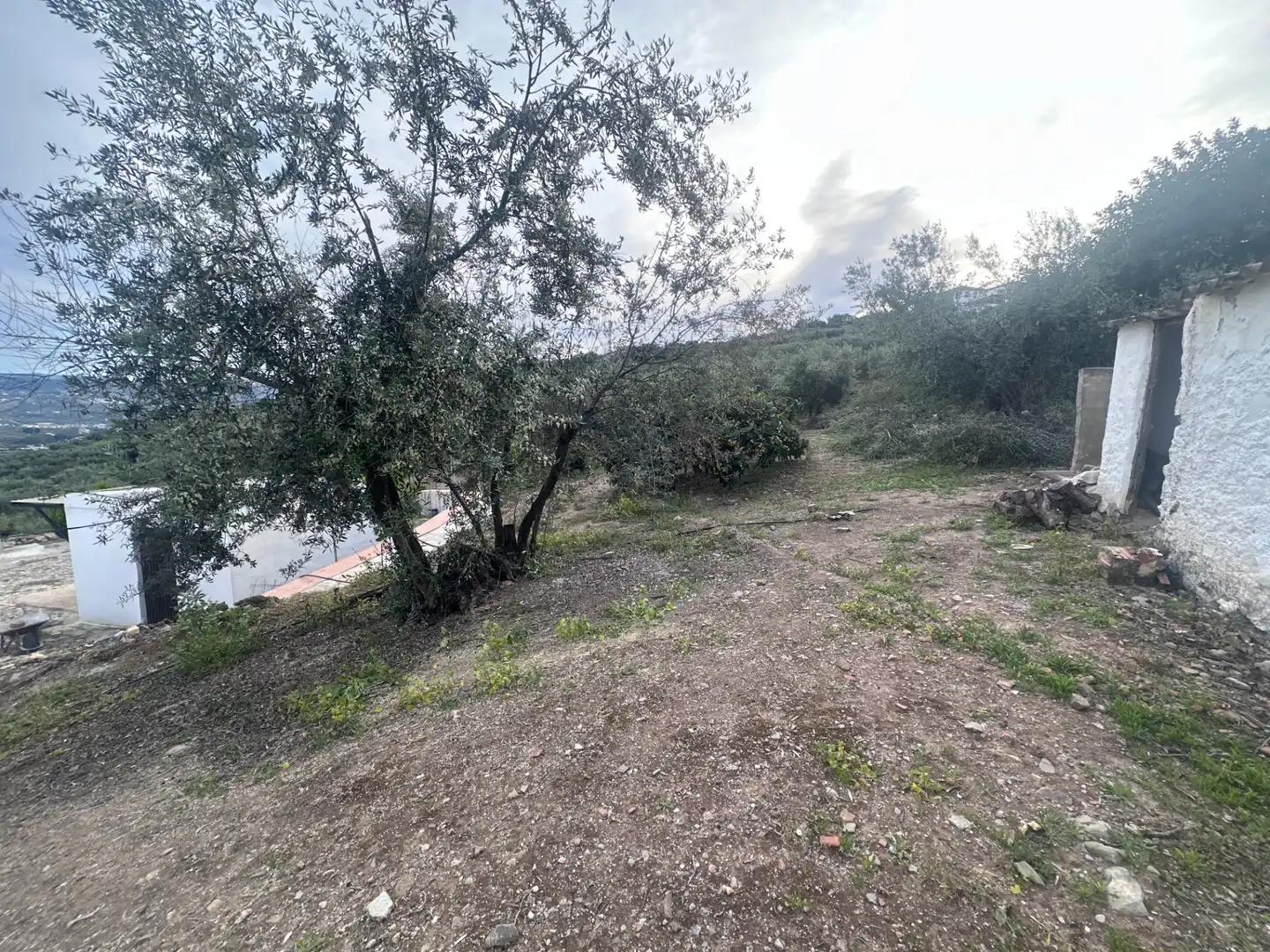 Finca rústica en venda en Alcaucín amb Jardí privat, Terrassa i Moblat