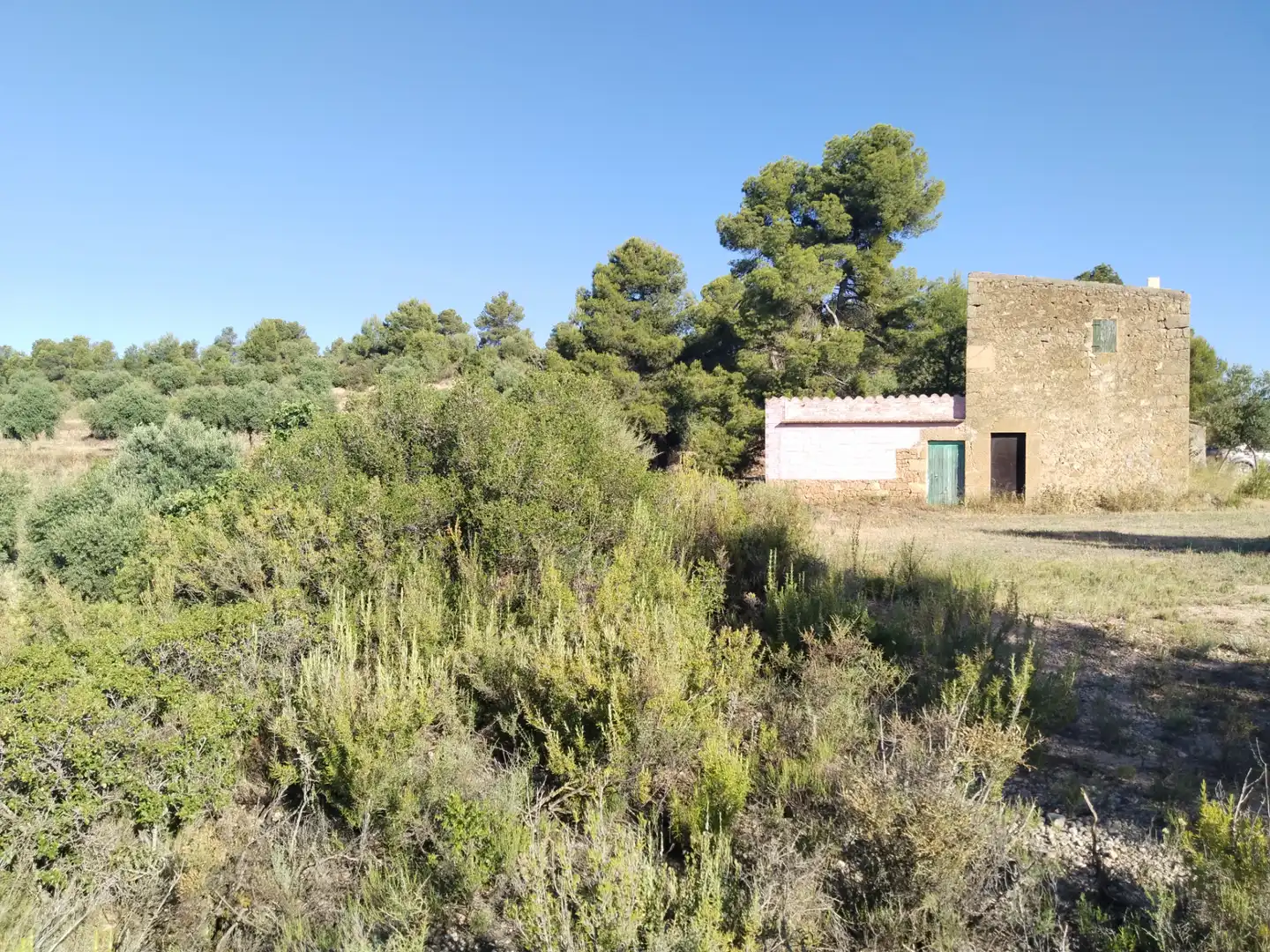 Terreno rustico in vendita a La Pobla de Cérvoles, imagen 6