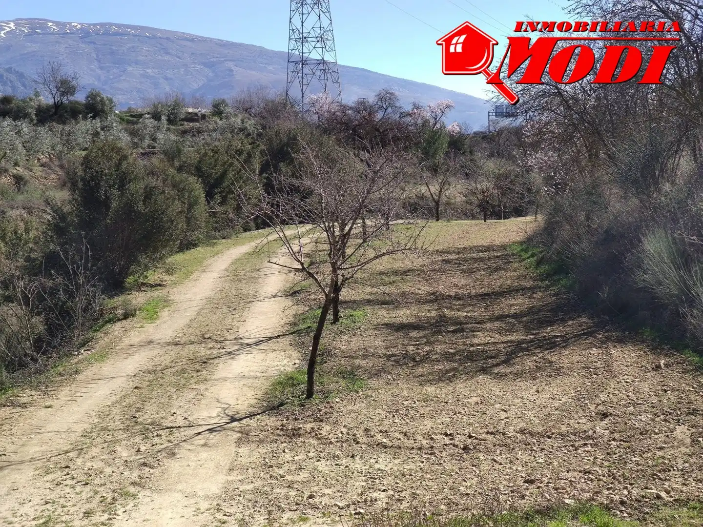 Terrenys i solars en venda a Villamena, imagen 17