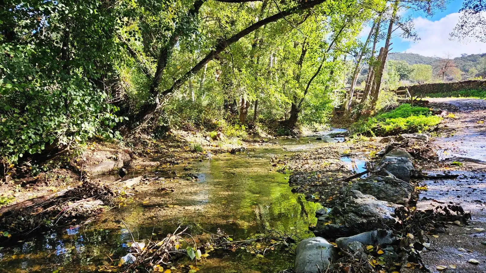 Terrenos y solares en venta en La Nava, imagen 9