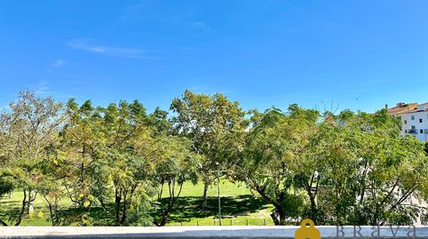 Coqueto apartamento reformado en venta en Empuriabrava - Port Mistral, imatge 3