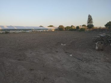Terreny rústic en venda a Chipiona Norte