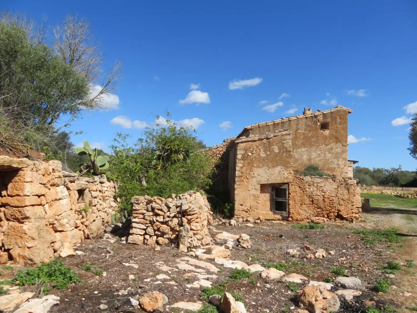 Maison rustique à vendre à Cala Pi - Vallgornera, imagen 14