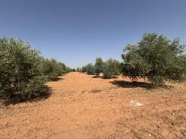 Maison rustique à vendre à Valdepeñas, imagen 40