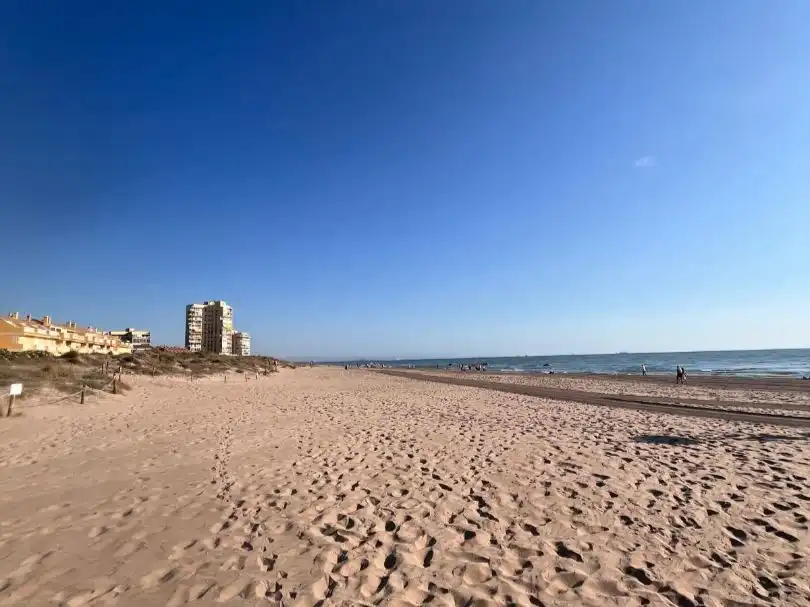 Apartament amb jardí de lloguer a Avenida de  las  Gaviotas 167, imagen 12