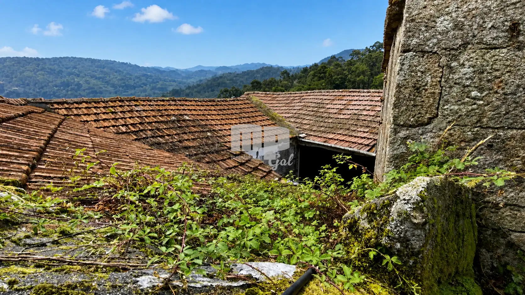 Exterior view of Country homes for sale in Fornelos de Montes  with Private garden, Terrace and Storage room