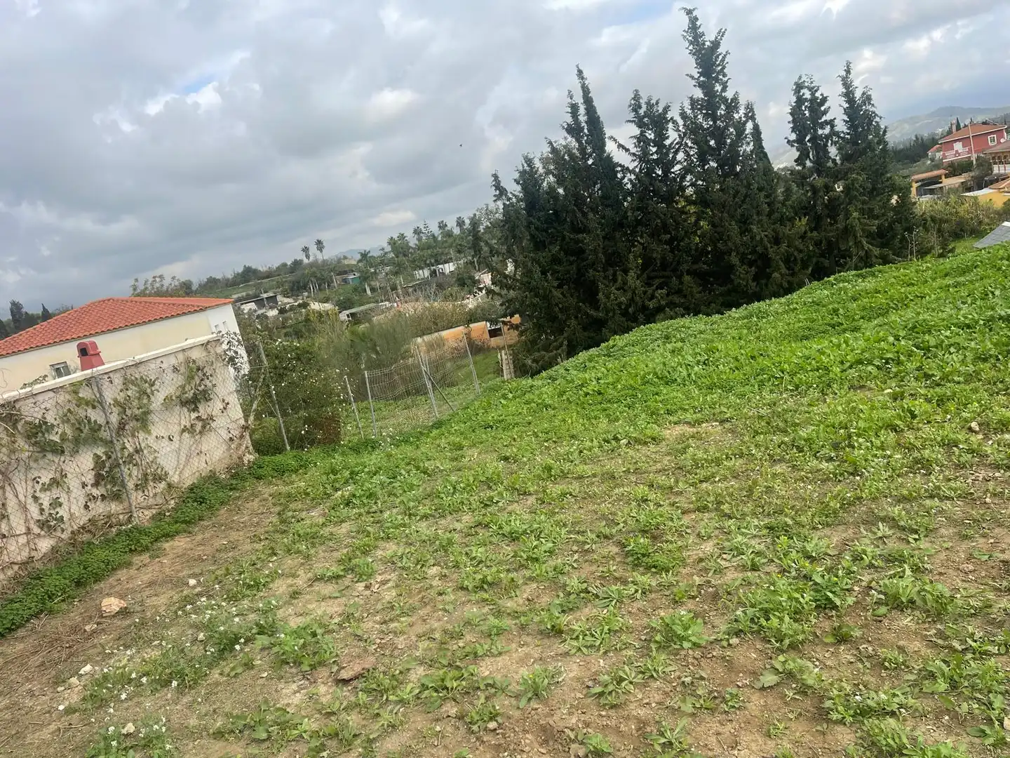 Terreno rustico in vendita a El Romeral - Peñón de Zapata, imagen 6