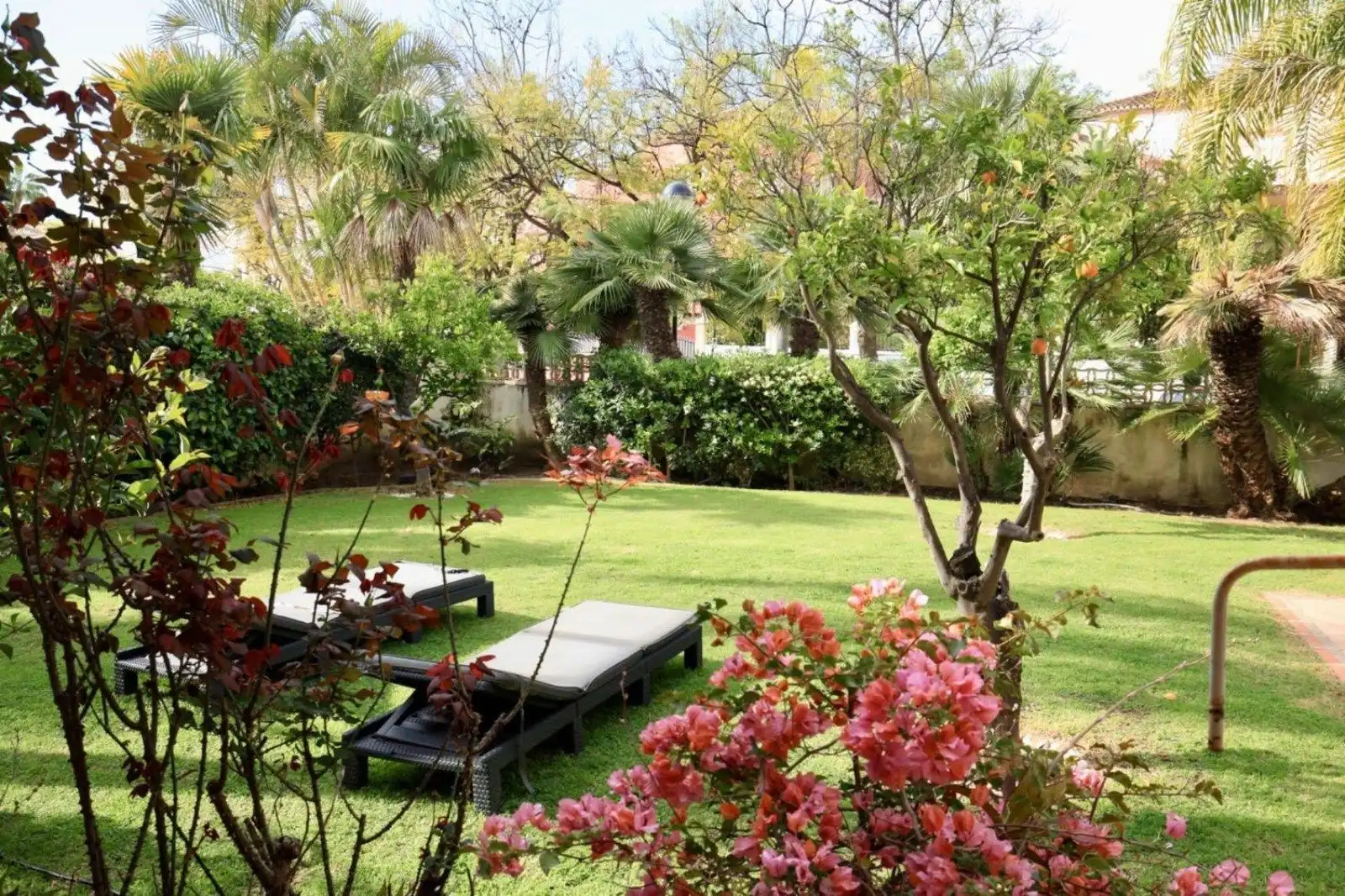 Casa con terrazza in vendita a Calle 19 C 501, imagen 54