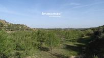 Land for sale in Maella