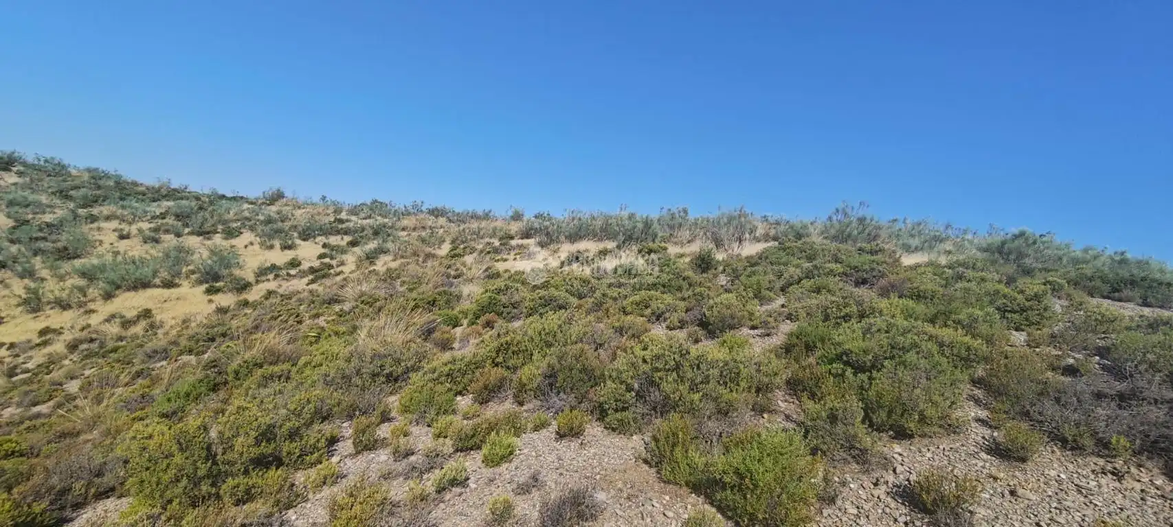 Rustikales Grundstück zum Verkauf in Pinos Genil, imagen 10