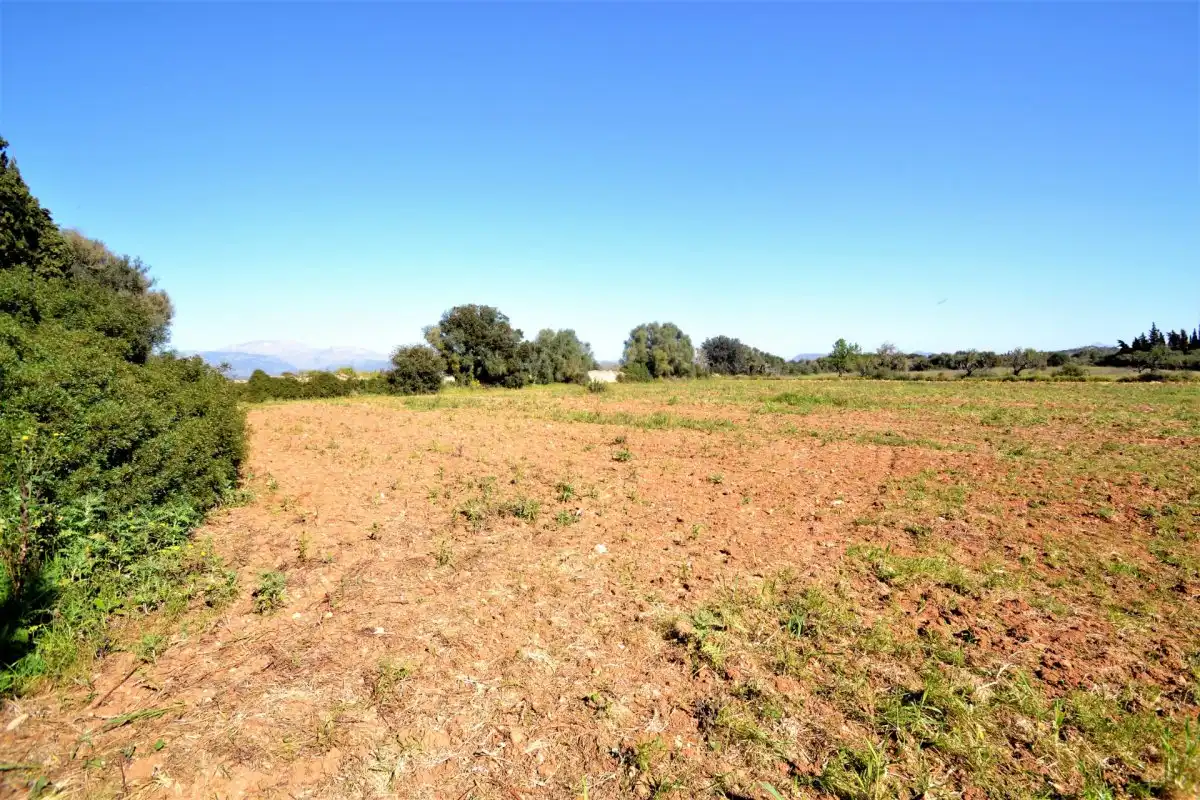 Rural land for sale in Muro, imagen 8