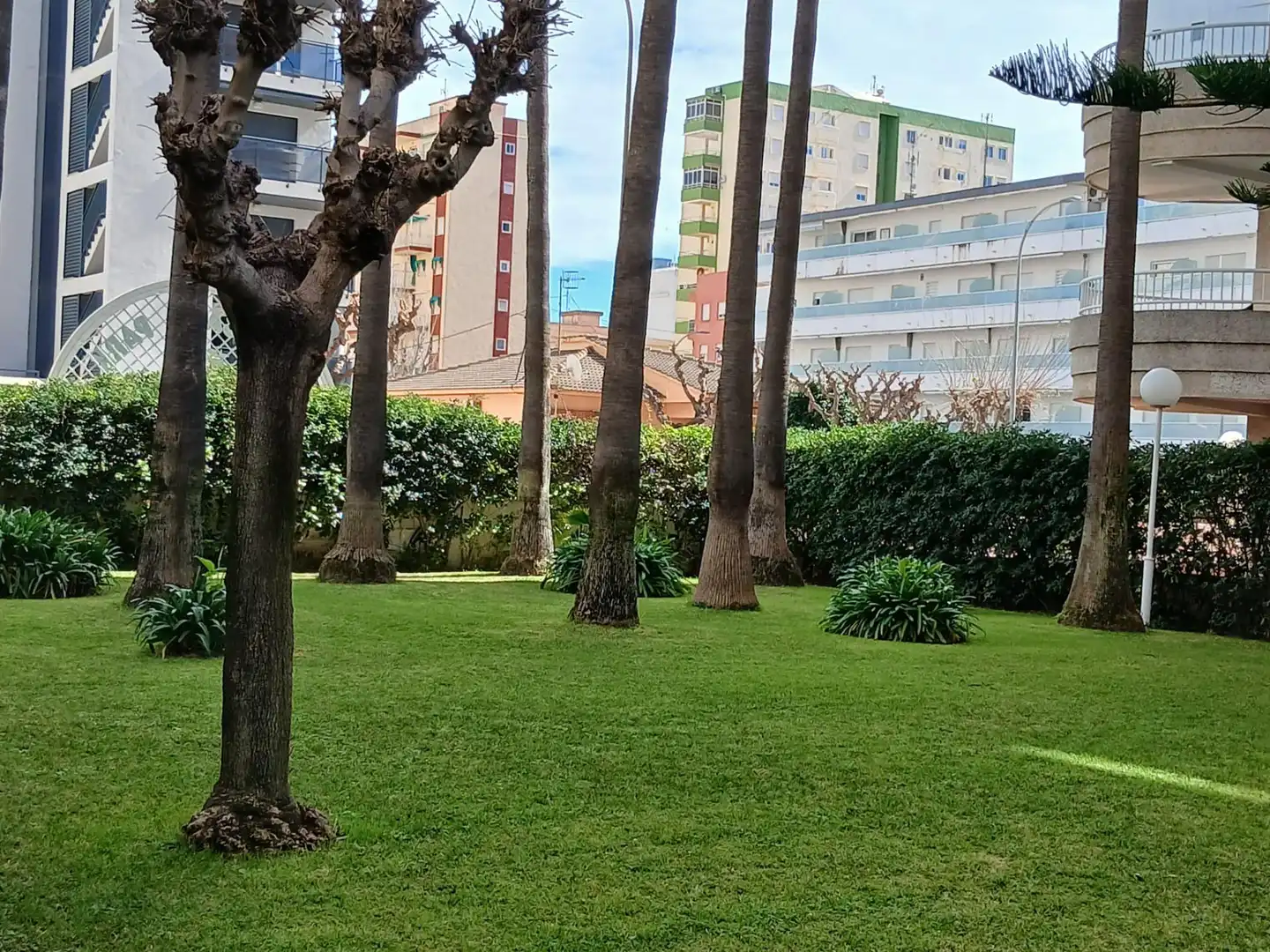 Mini appartamento con piscina in affitto a Playa de Gandia, imagen 27
