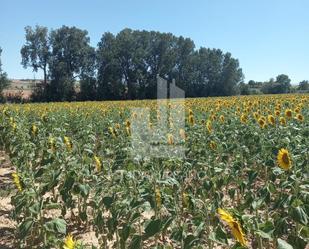 Residencial en venda en Corrales del Vino