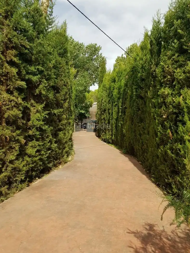 Terreno rustico in vendita a Calle María del Rosario 7, imagen 2