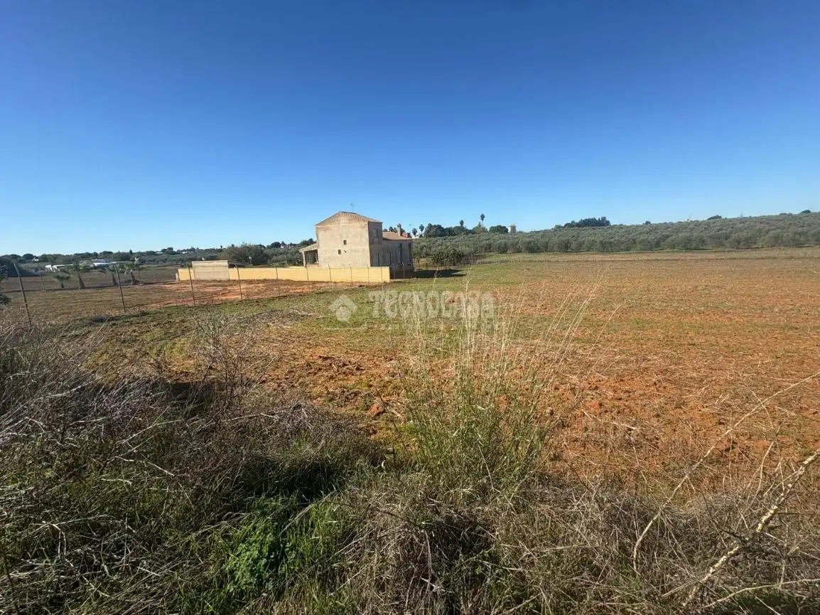 Terreni e lotti in vendita a Camino sanlucar la mayor olivares