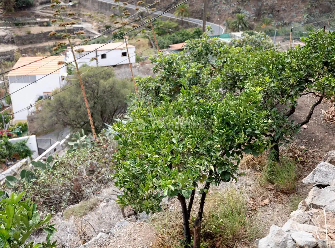 Finca rústica en venta en Valsequillo de Gran Canaria