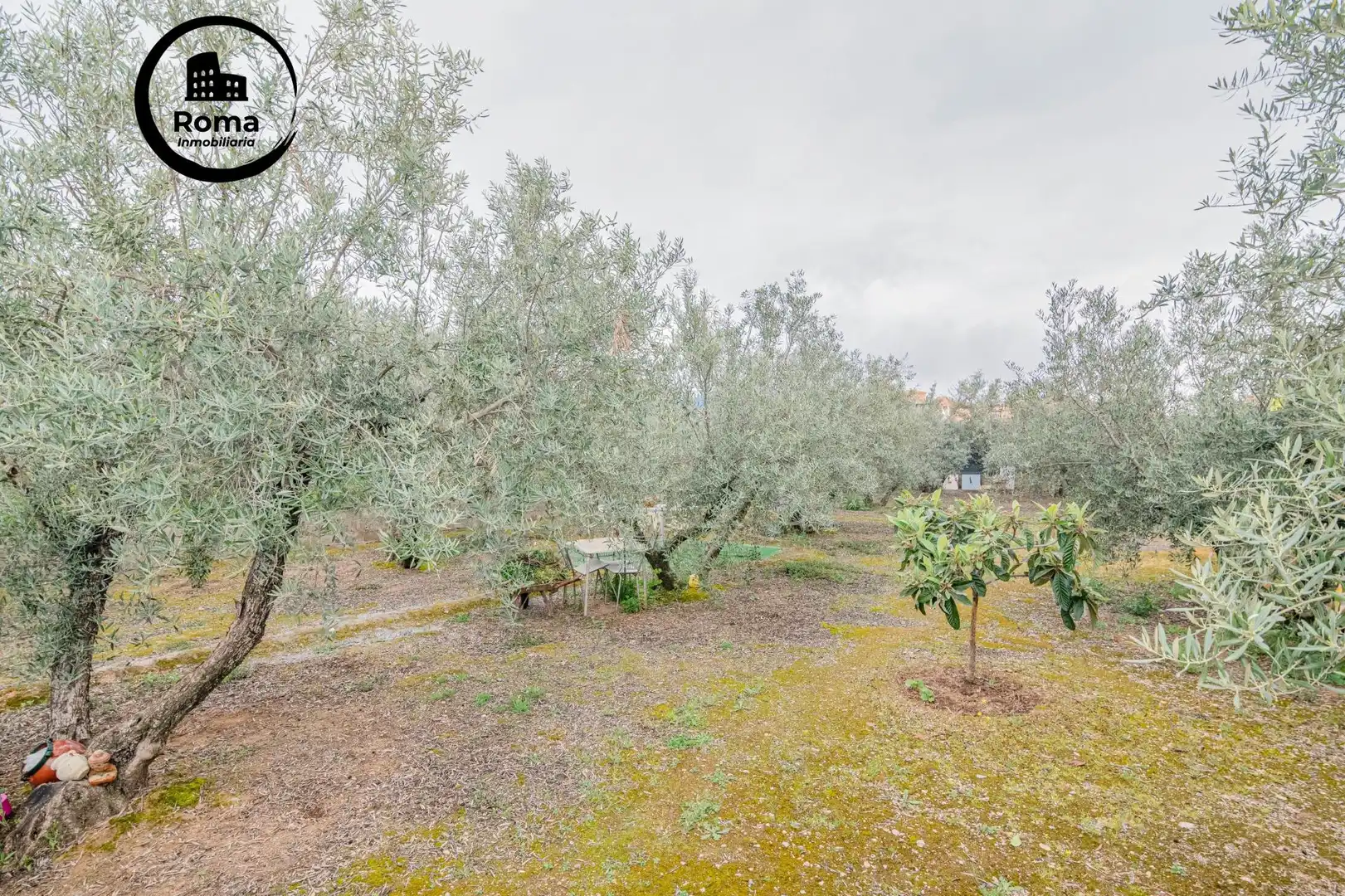 Terrenys i solars en venda a Ogíjares, imagen 9