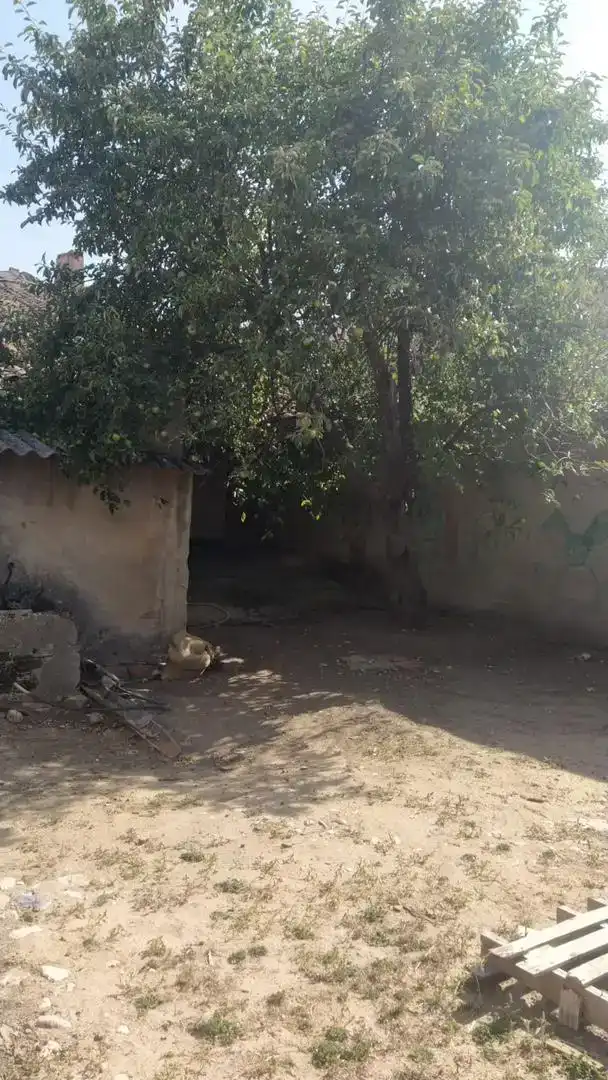 Finca rústica en venda en Cantalpino