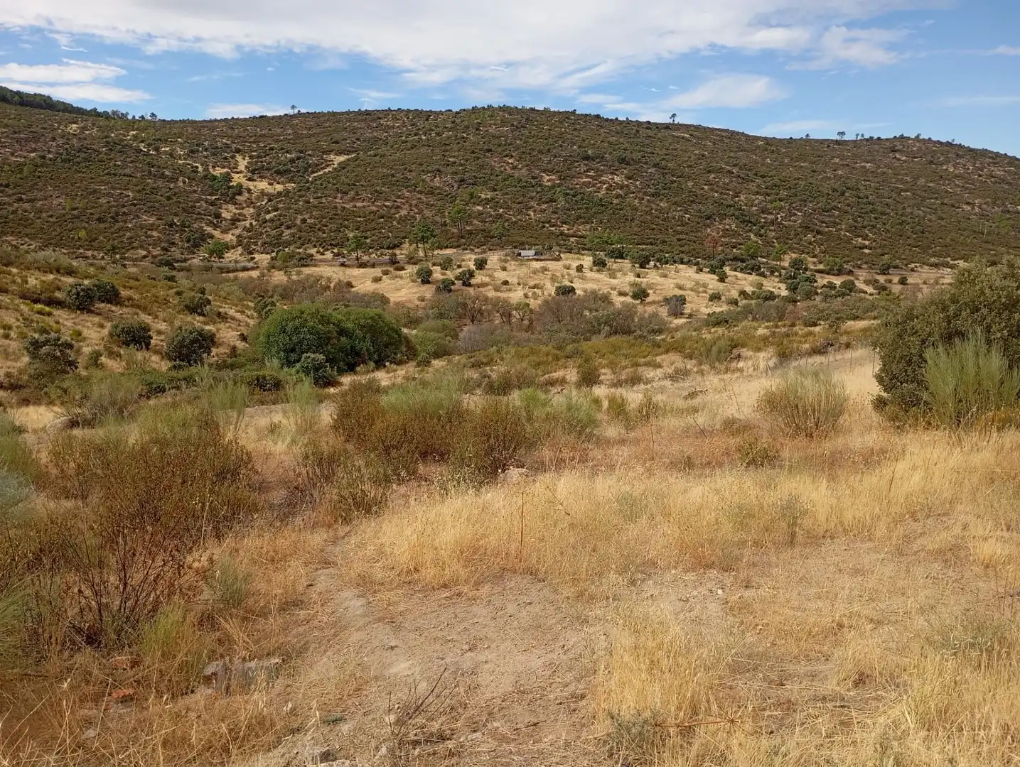 Terrenos y solares en venta en Robledo de Chavela, imagen 9