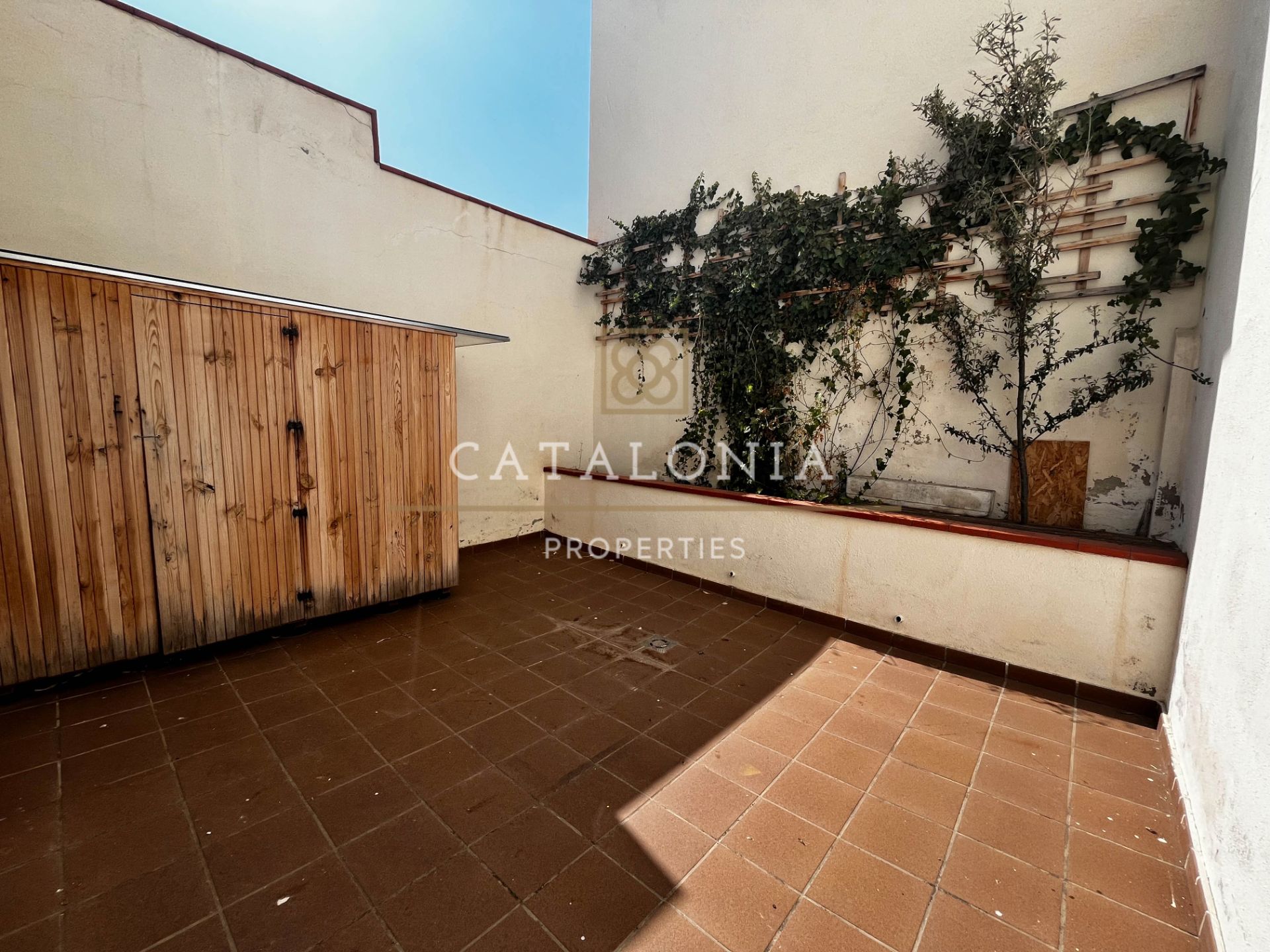 Planta baixa en venda a Carrer d'Amàlia, Centre
