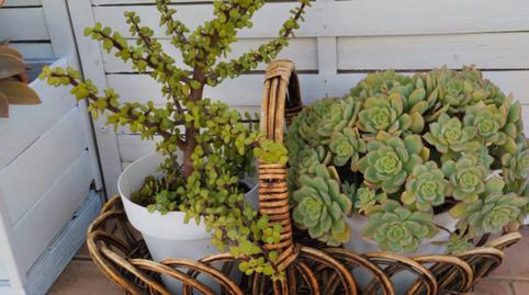 Foto 4 de Àtic en venda a La Angelita, Cádiz