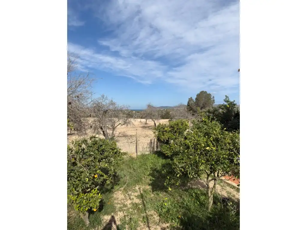Villa mit Garten zum Verkauf in Cala Vedella-Cala Tarida, imagen 32