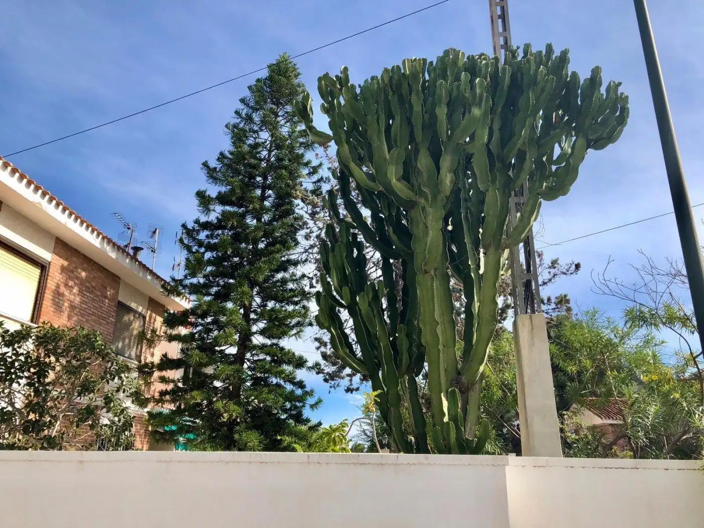 Vista exterior de Casa adosada en venta en Pilar de la Horadada con Calefacción, Jardín privado y Trastero