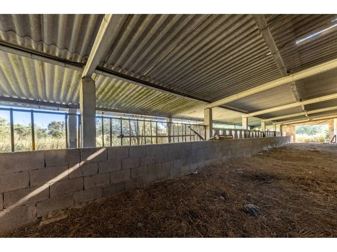 Terreno rustico in vendita a Llucmajor pueblo, imagen 78