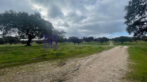 Foto 3 de Casa o xalet en venda a Portaje, Cáceres