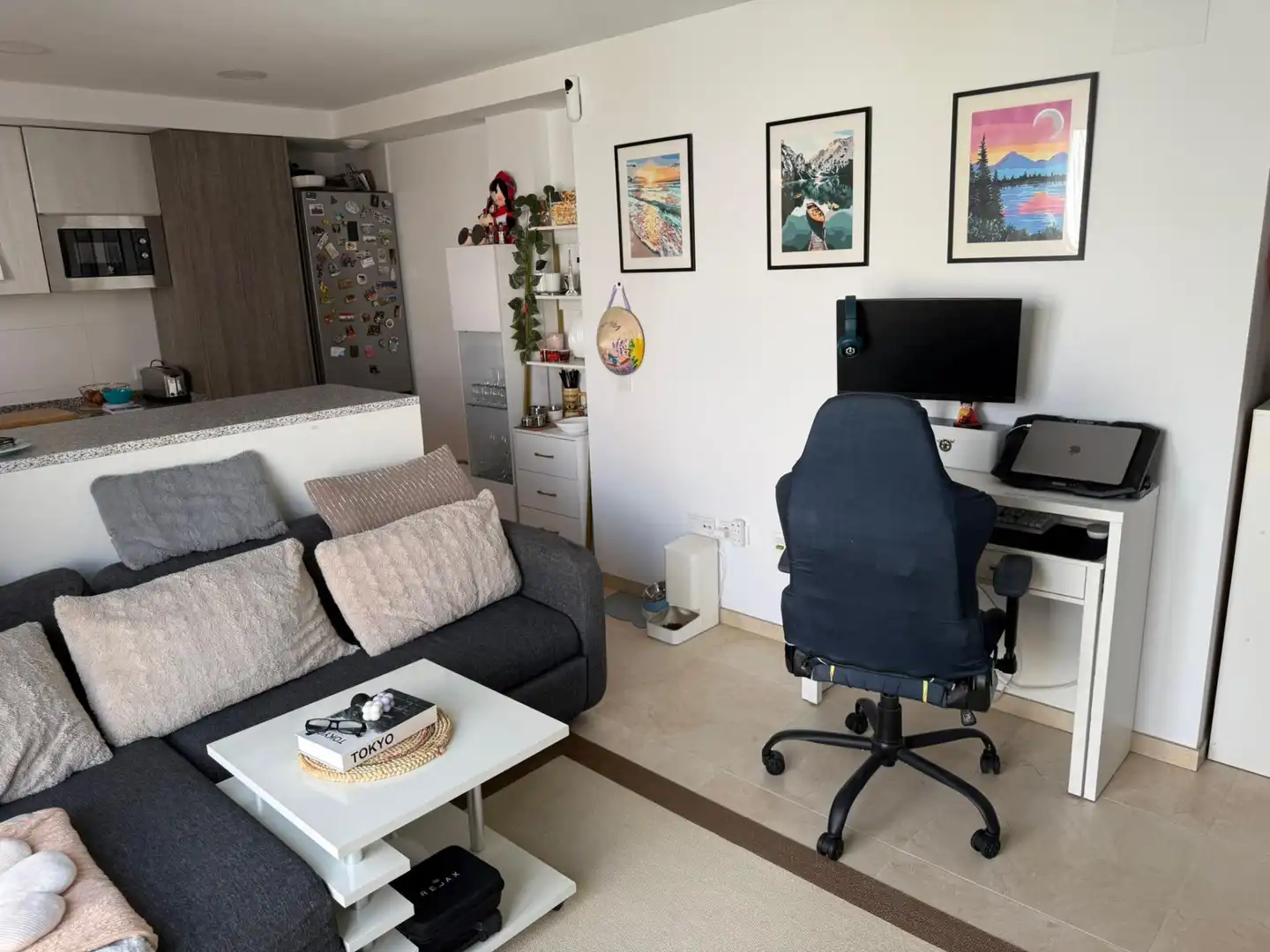 Sala d'estar de Apartament en venda en Alicante / Alacant amb Aire condicionat i Terrassa