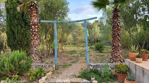 Foto 5 de Terreno en venta en Calle de Orient, Son Malferit, Palma de Mallorca