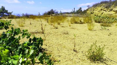 Foto 5 de Residencial en venda a Chimiche, Santa Cruz de Tenerife