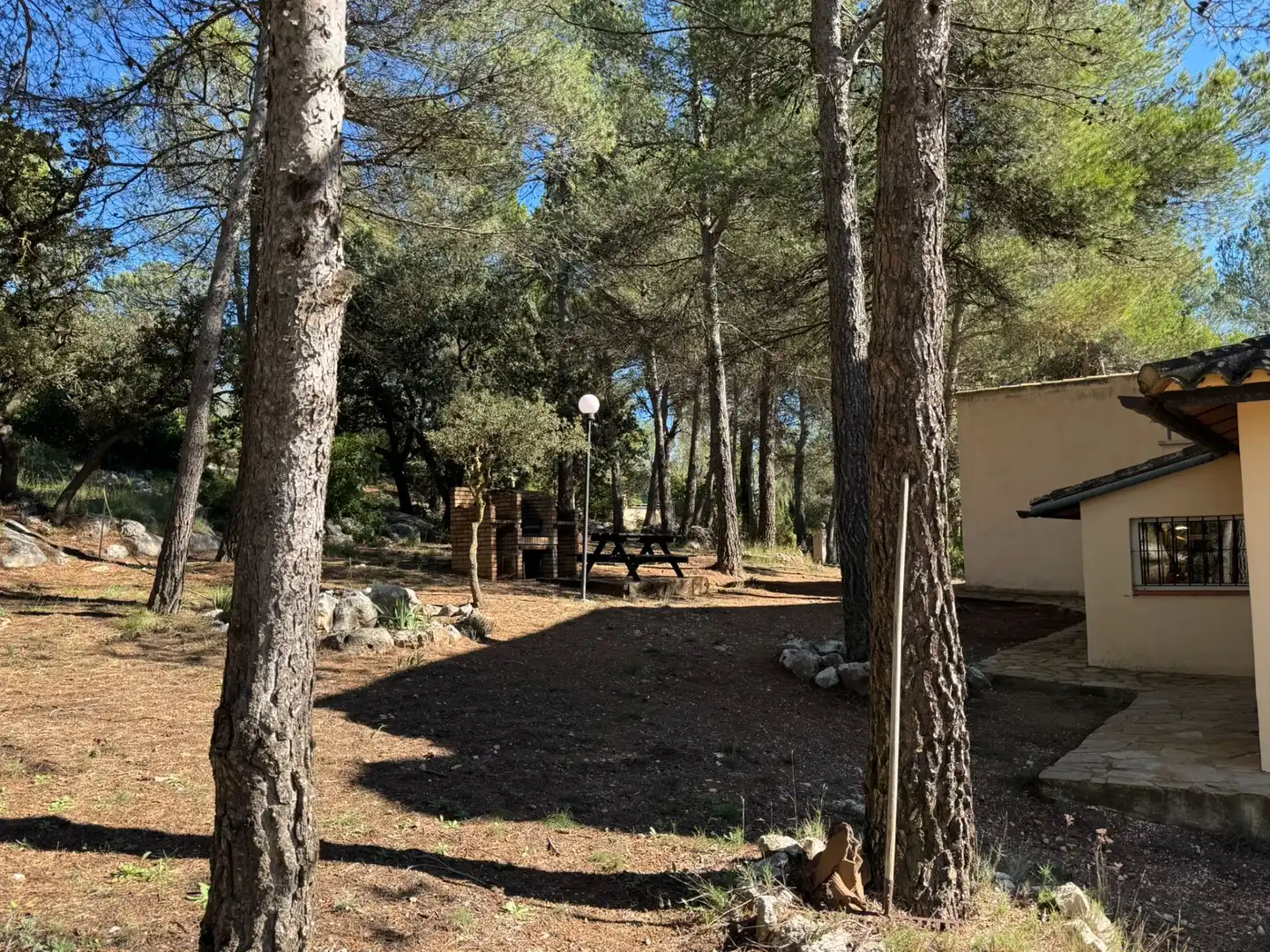 Casa amb jardí en venda a Centre - Zona Alta, imagen 12