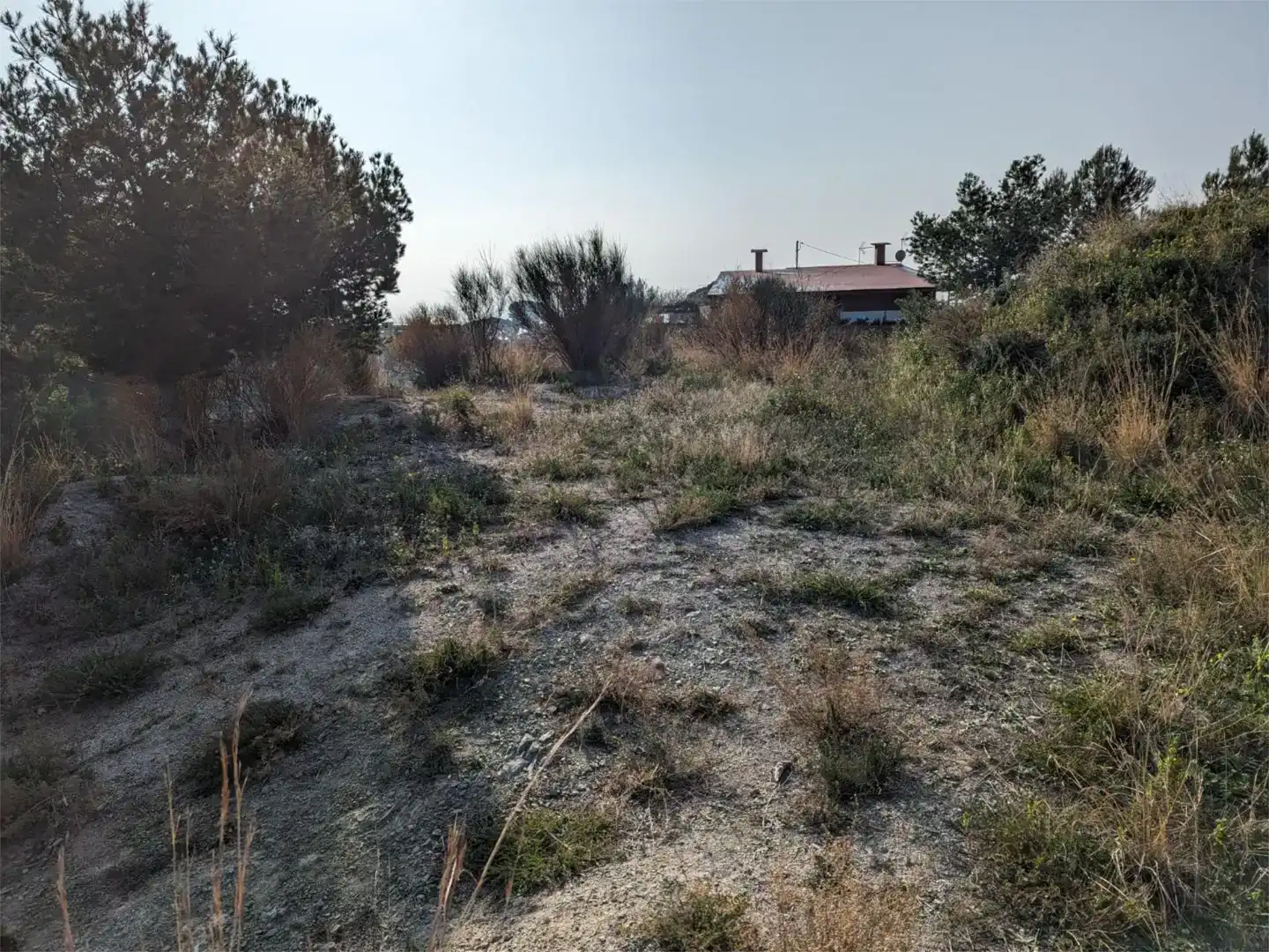 Terreno en venta en Califòrnia - Santa Madrona  