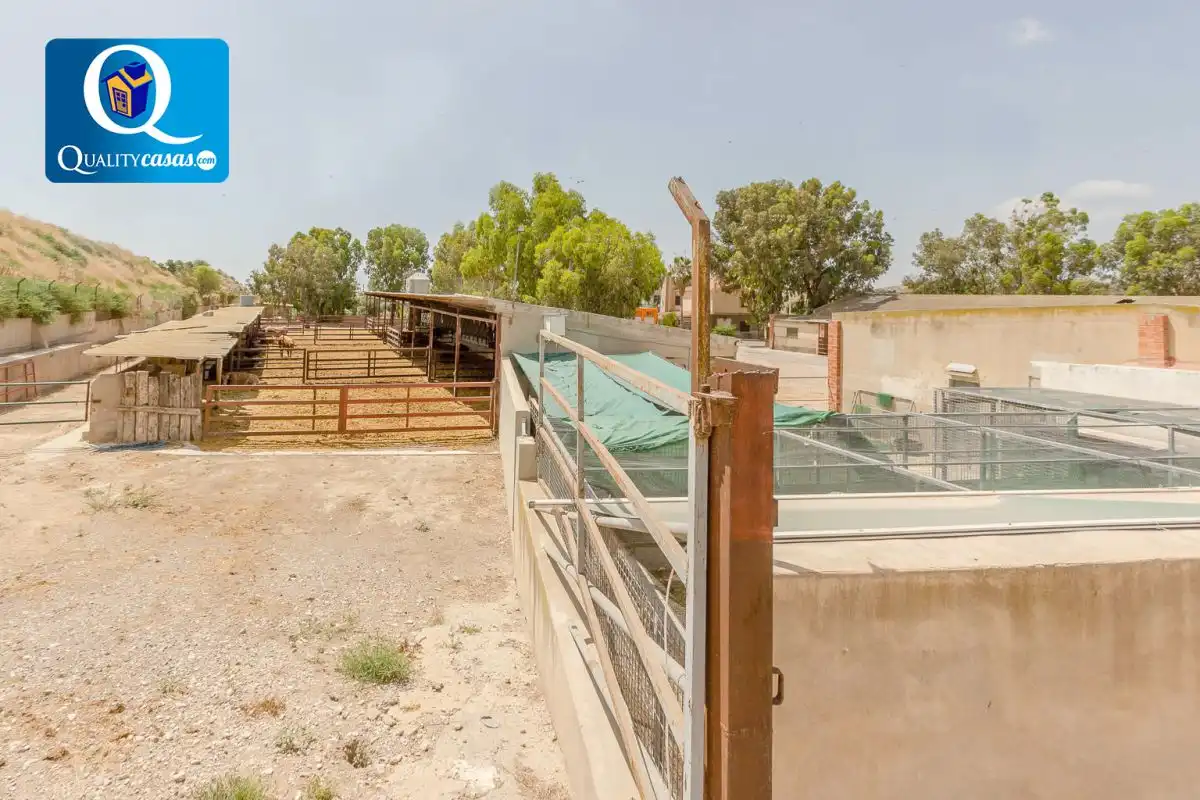 Chalet en venta en Partidas de Alicante, imagen 46