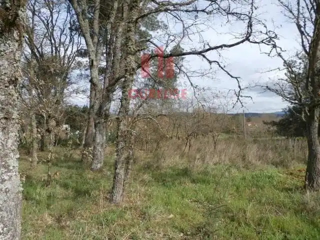 Terreni e lotti in vendita a O Pereiro de Aguiar, imagen 3