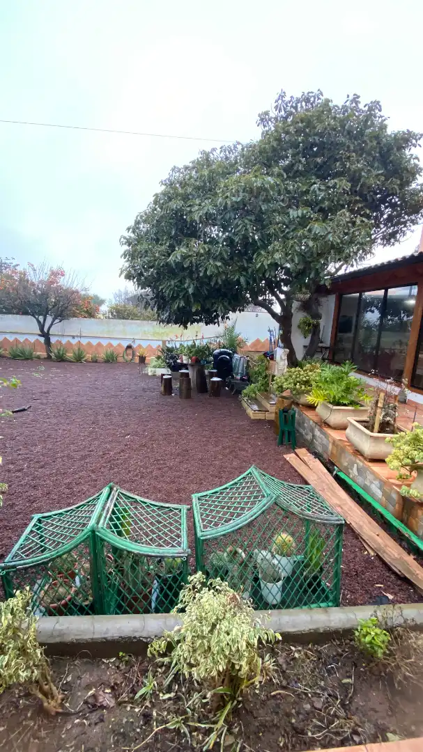 Jardín de Casa o chalet en venta en San Cristóbal de la Laguna con Jardín privado, Terraza y Trastero