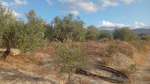 Terreno rustico, en Cañada Capitá, Los Gallardos., immagine 5