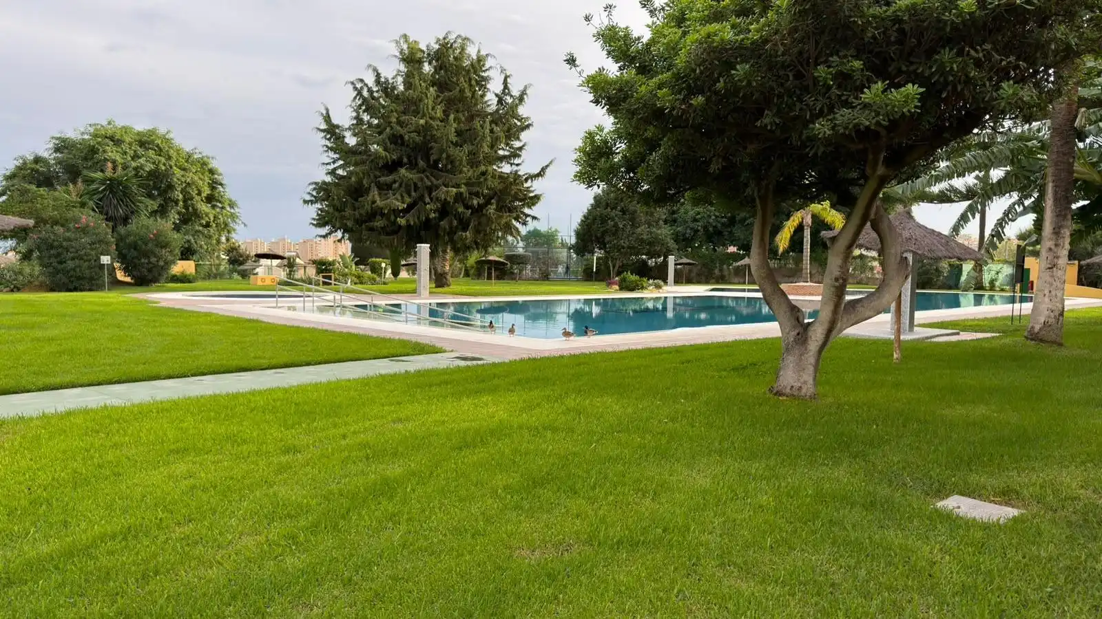 Monolocale con piscina in vendita a Calle Calle Colina 10, imagen 19