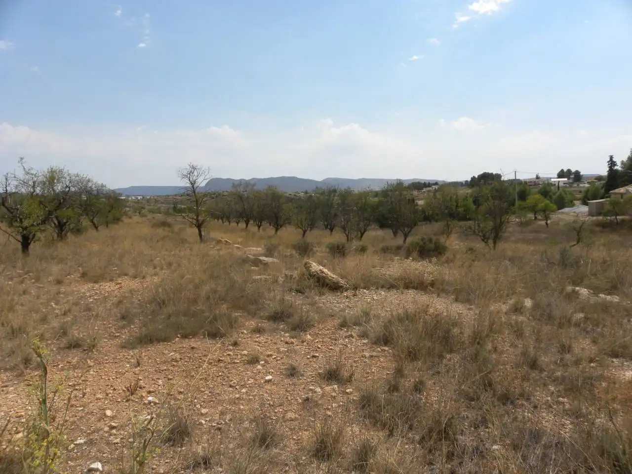 Residential land for sale in Caravaca de la Cruz, imagen 14