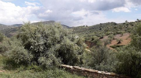 Foto 5 de Terreno en venta en Los Frailes, 124, Cútar, Málaga