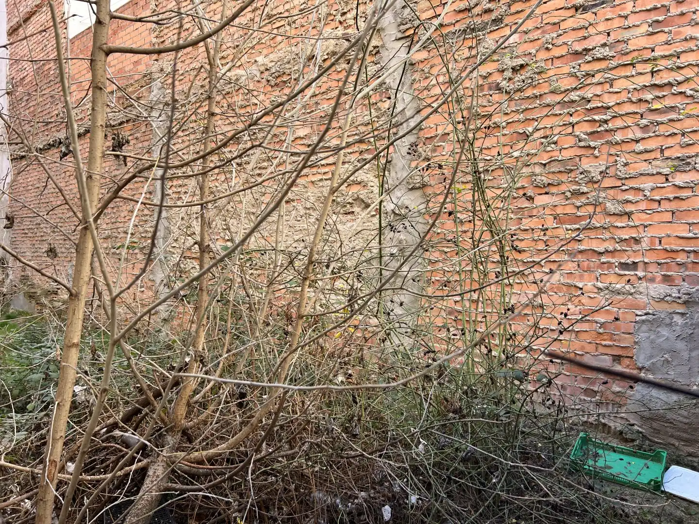 Jardí de Residencial en venda en Segovia