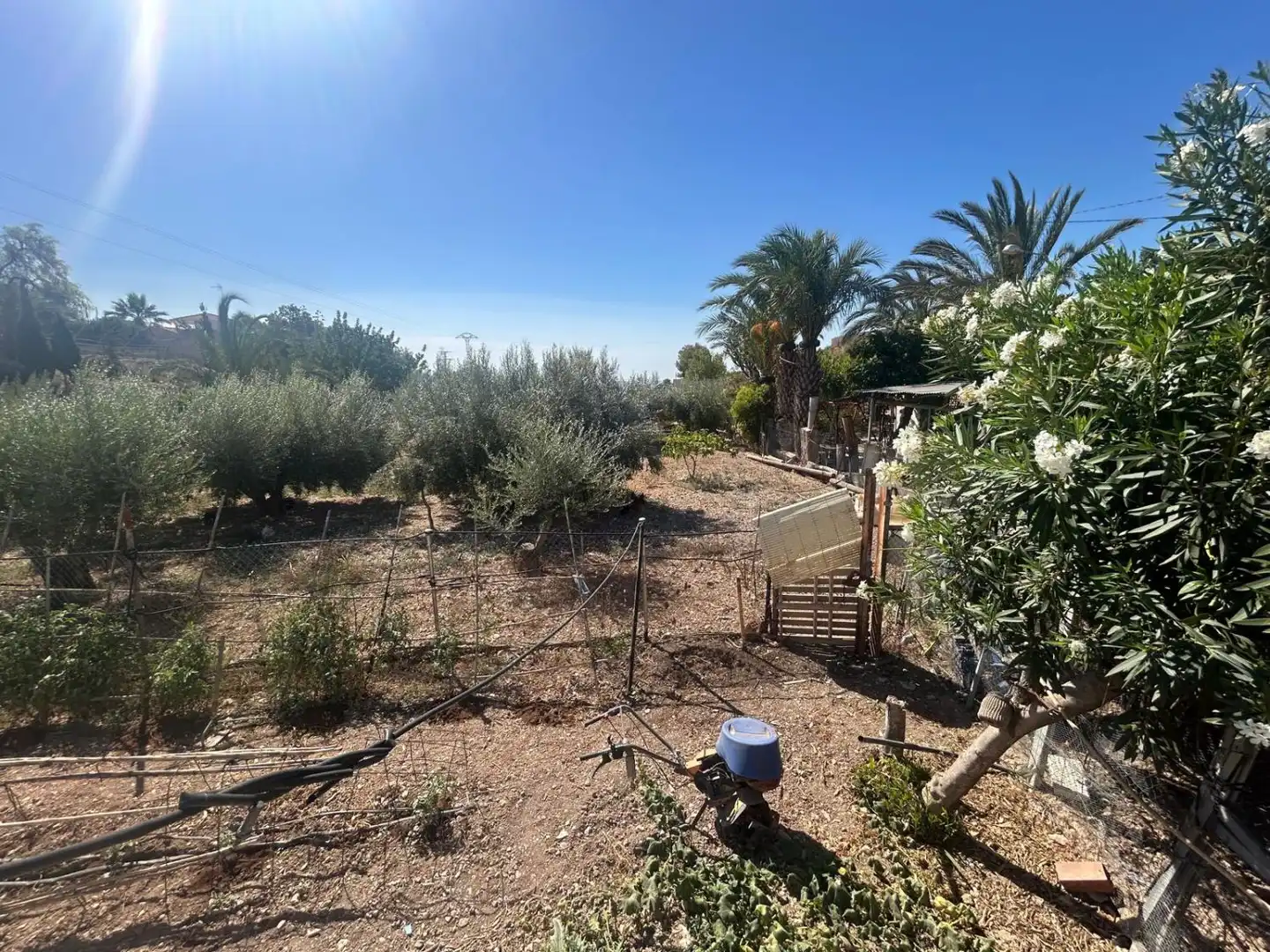 Finca rústica en venda en Crevillent amb Calefacció, Terrassa i Traster