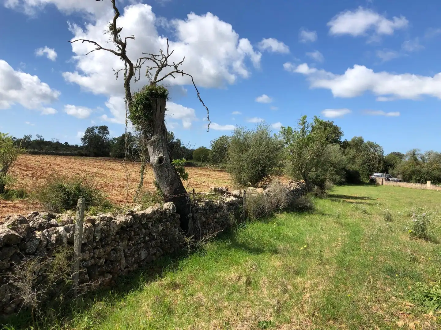 Lands and plots for sale in S'Horta - Cas Concos des Cavaller - Es Carritxó, imagen 13