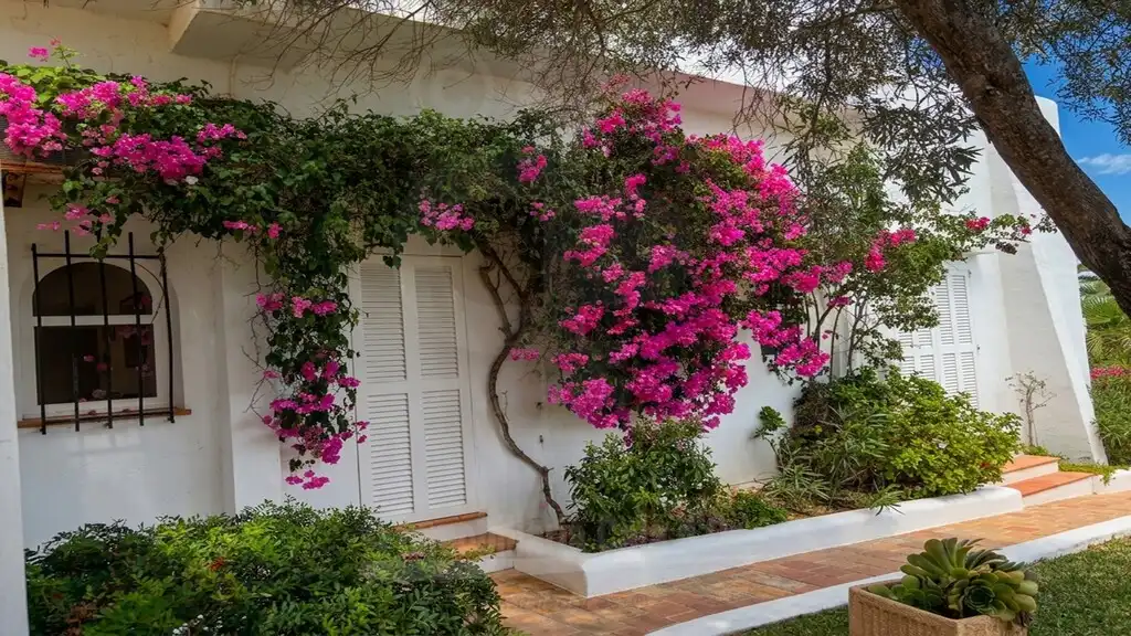 Villa mit Terrasse zum Verkauf in Cala d'Or, imagen 5