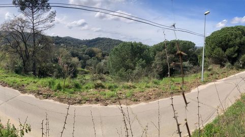 Parcela soleada en venta, imatge 5