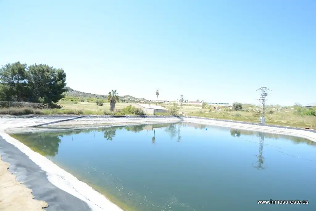Terrenos y solares en venta en Jacarilla, imagen 7